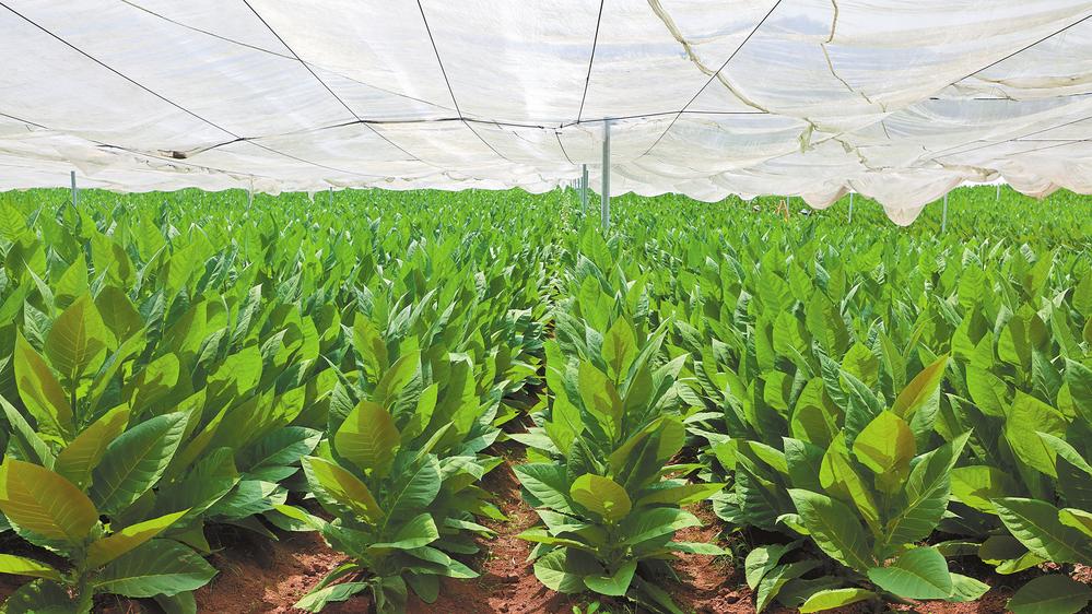 6530ba4f-df62-49d5-9c9a-94ebfa937deb 6530ba4f-df62-49d5-9c9a-94ebfa937deb