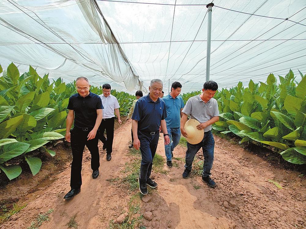 e3fd84e7-5ba1-414f-b08e-f12a01a59b11 e3fd84e7-5ba1-414f-b08e-f12a01a59b11