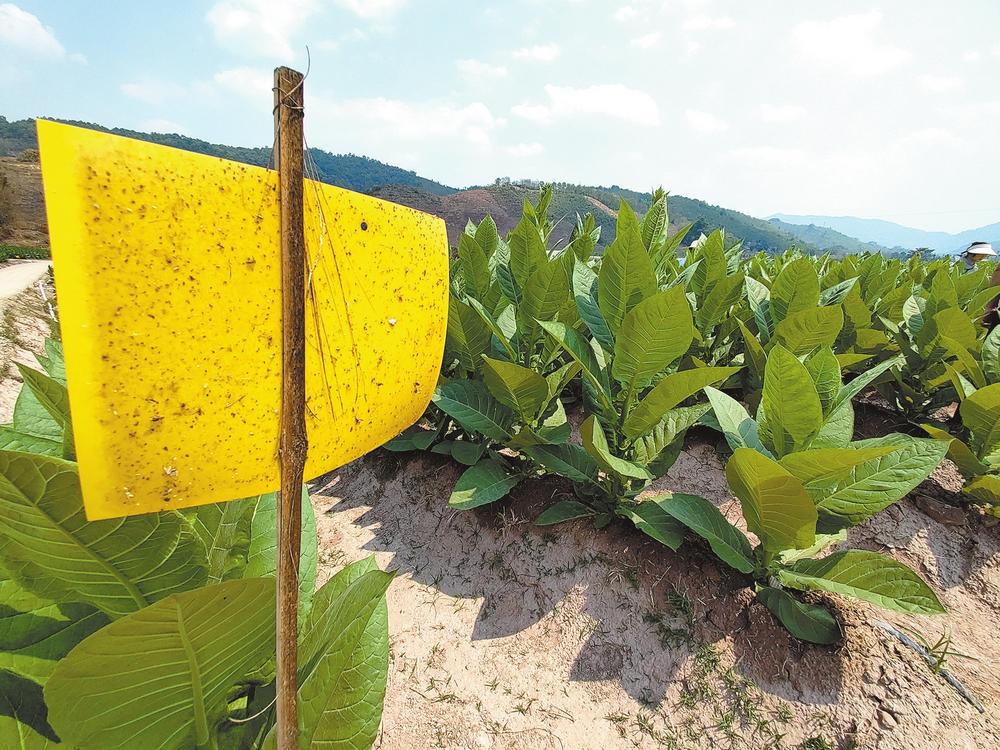 11263479-9e4e-482e-8b19-6218ff3f2488 11263479-9e4e-482e-8b19-6218ff3f2488