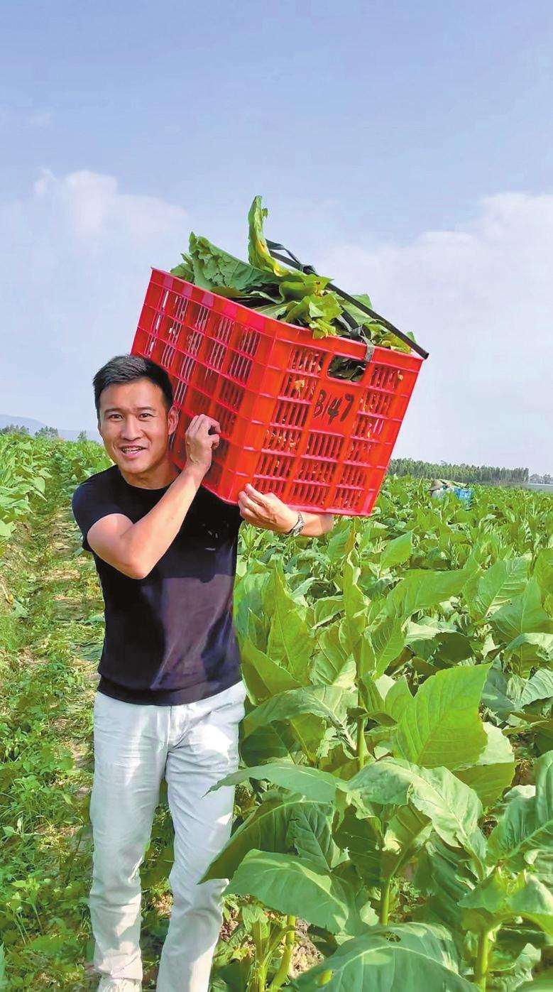 433db7ac-0d49-491d-8512-ee0d8c2b9386 433db7ac-0d49-491d-8512-ee0d8c2b9386