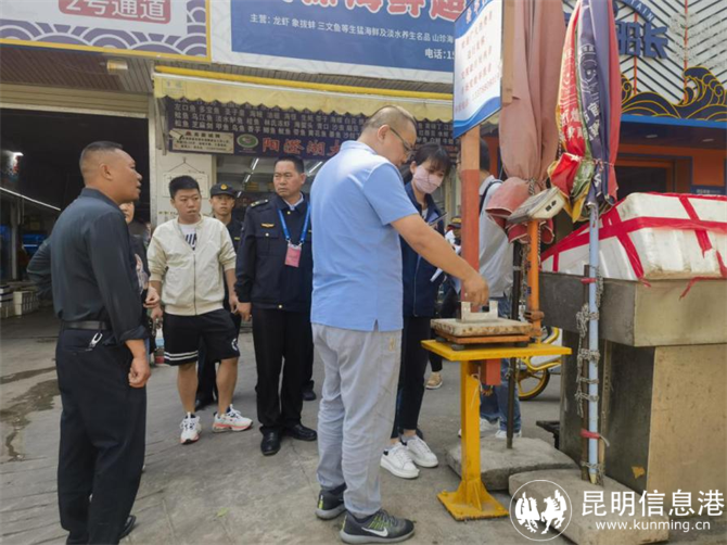 1380060_2048x2048 1380060_2048x2048