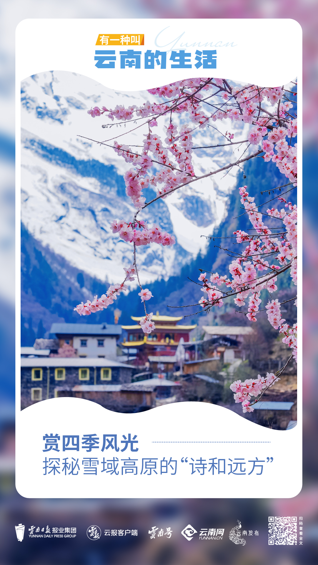 走進迪慶_畫板 1 副本.jpg 走進迪慶_畫板 1 副本.jpg