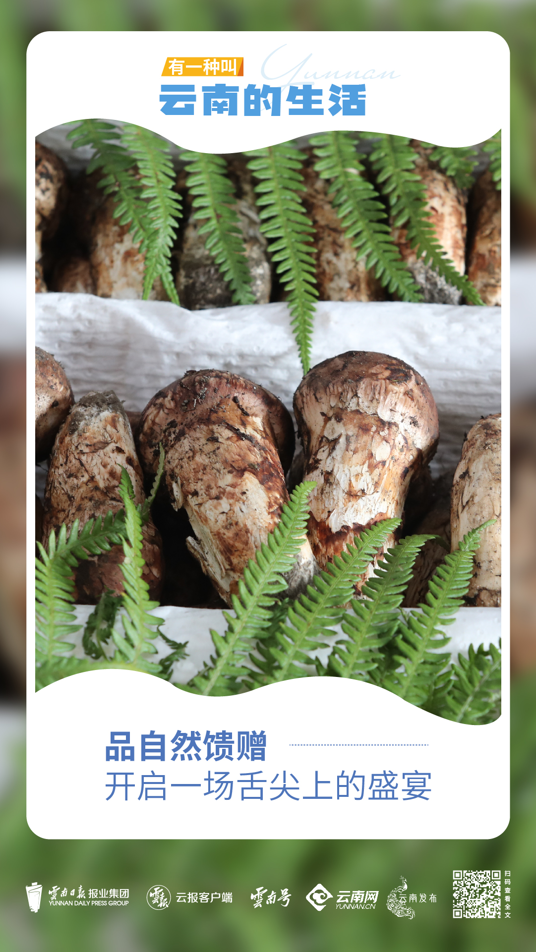 走進迪慶_畫板 1 副本 5.jpg 走進迪慶_畫板 1 副本 5.jpg