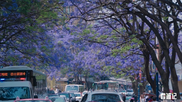 序列 01.00_00_24_07.Still014 序列 01.00_00_24_07.Still014