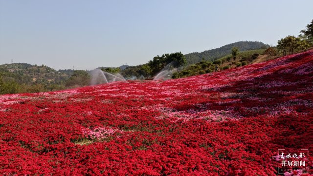 24小時(shí)逛吃玉溪(李春麗 攝影報(bào)道)