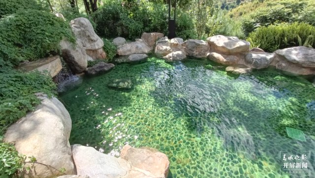 24小時(shí)逛吃玉溪(李春麗 攝影報(bào)道)