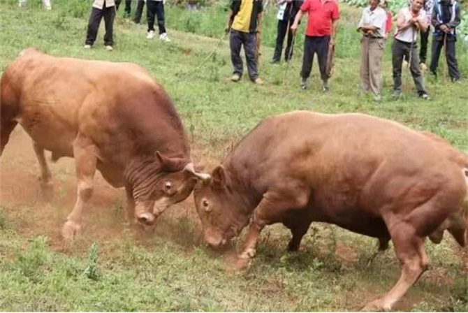 QQ截圖202304271125096 QQ截圖202304271125096