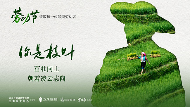 畫板 1 副本 6@2x-100