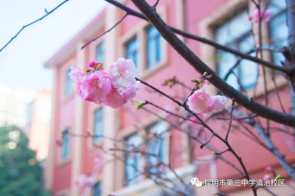 微信圖片_20230427143037 微信圖片_20230427143037