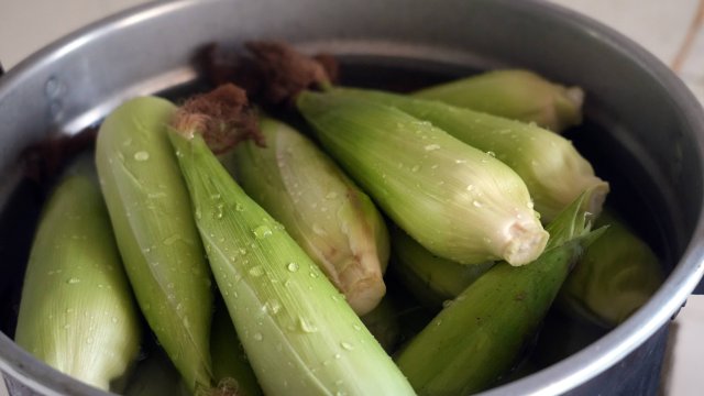 煮玉米1 肖丹紅拍攝.jpg