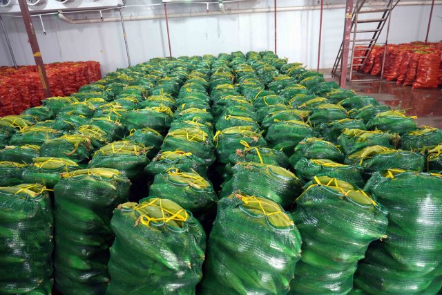 玉米在凍庫裝卸 肖丹紅拍攝 (1)_副本.jpg