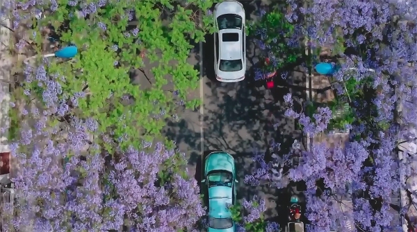 1683283491694 1683283491694