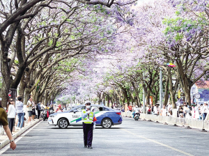 81301683312820909 81301683312820909