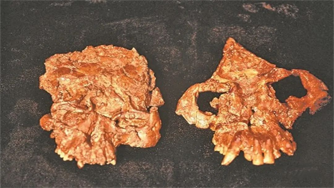 楚雄是什么顏色