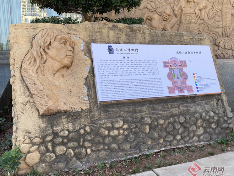 楚雄是什么顏色