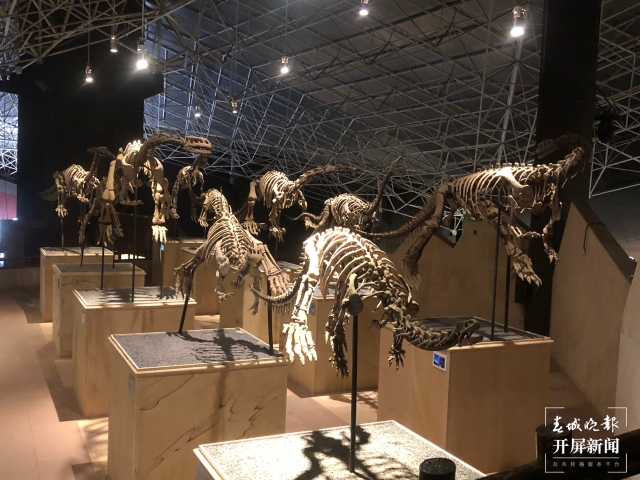 這個國慶假期一起走進祿豐恐龍谷，重返侏羅紀時代（開屏新聞記者 羅宗偉）