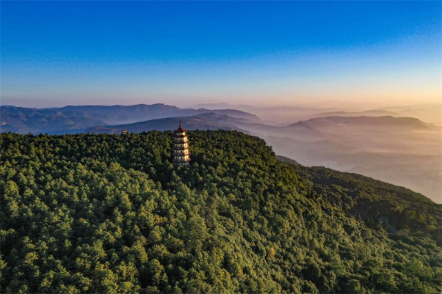 楚雄是什么顏色