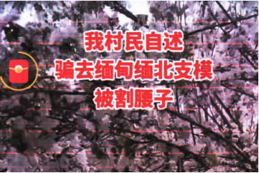 云南網(wǎng)警依法處置“村民被騙到緬北割腰子”謠言