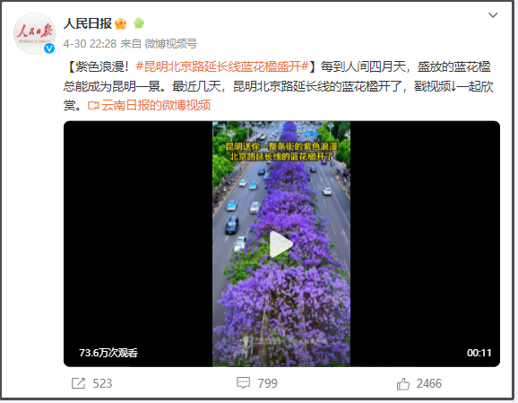 有一種叫云南的生活｜呀！云南又被cua惹~