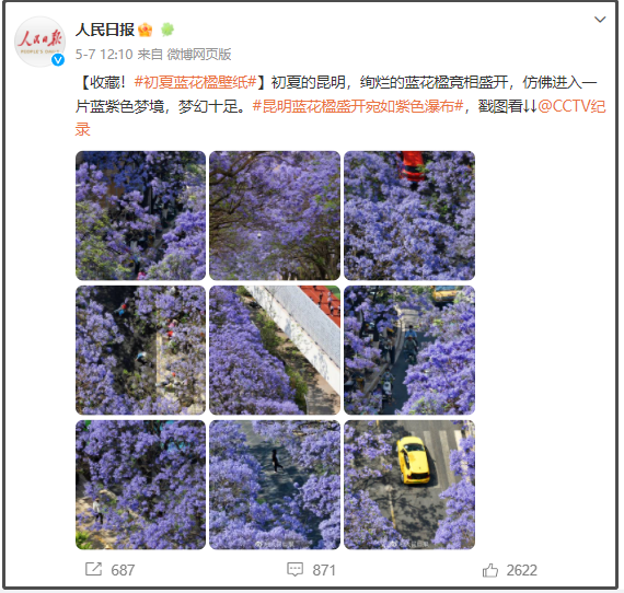 有一種叫云南的生活｜呀！云南又被cua惹~