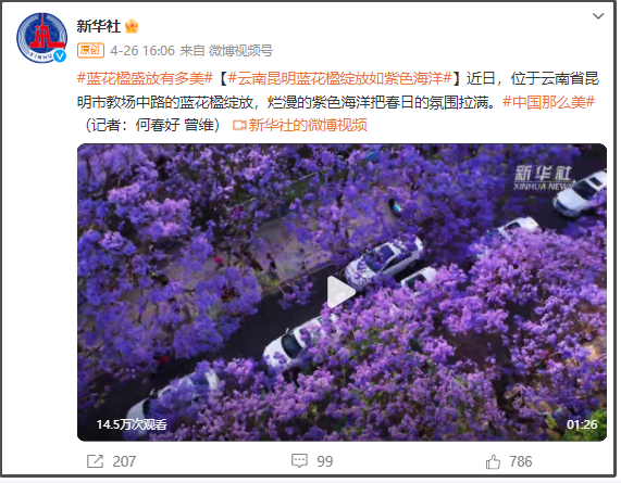 有一種叫云南的生活｜呀！云南又被cua惹~