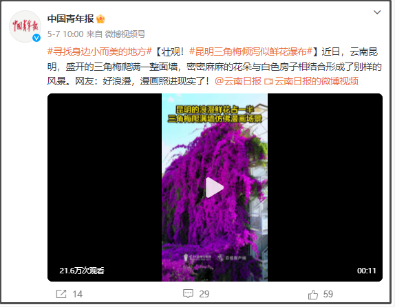 有一種叫云南的生活｜呀！云南又被cua惹~