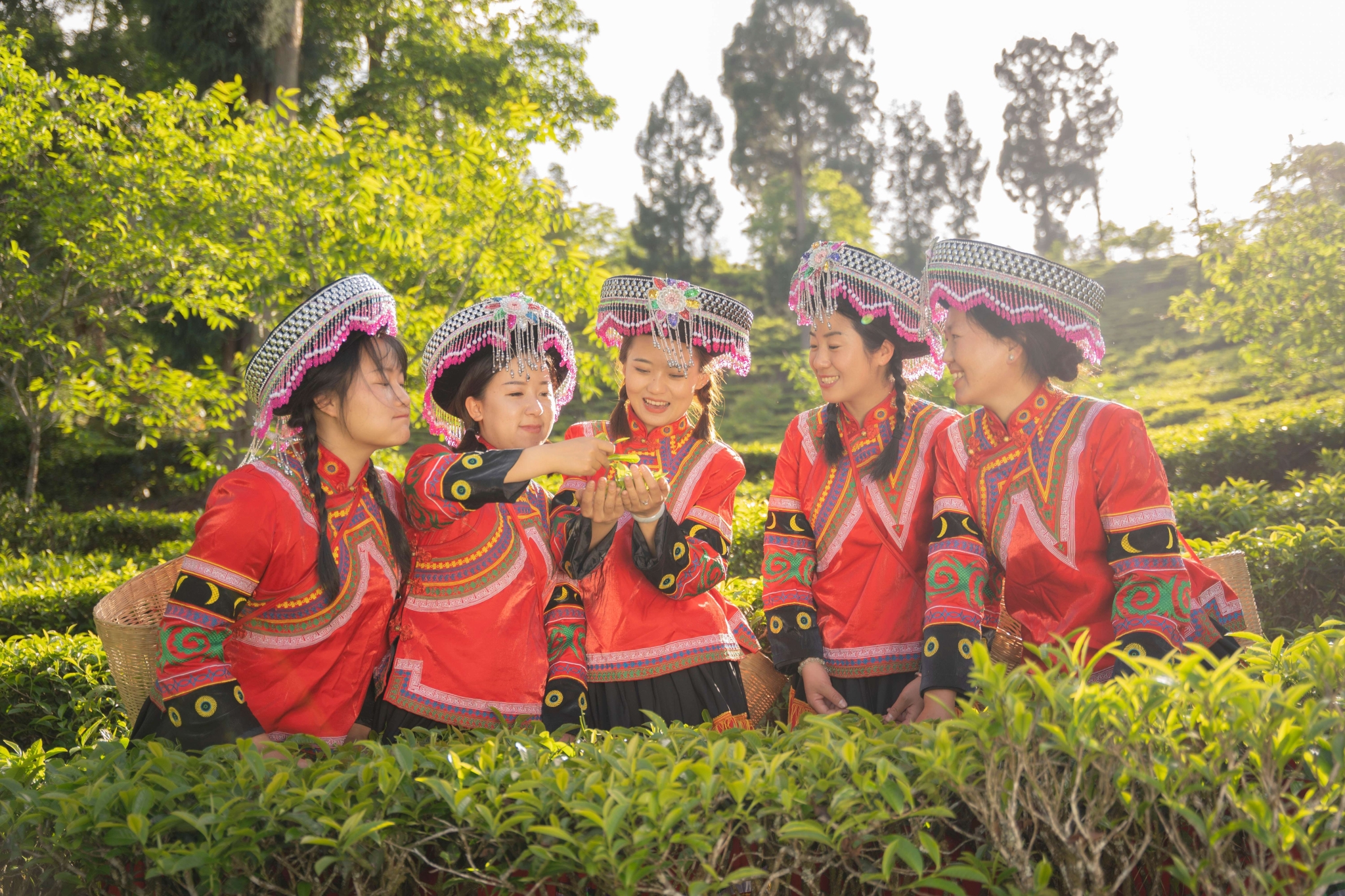 1683683137568448.jpg cfc8c03e3537403397c127b6d1bbe01e.jpg