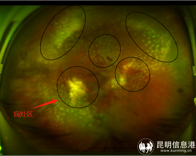 微信圖片_20230516103020 微信圖片_20230516103020