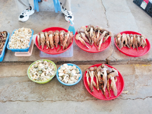 昆明市場的野生菌品種逐漸增多。