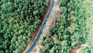 從尋甸縣柯渡鎮(zhèn)出發(fā)，沿著山路一路前行40分鐘才能到達松林村。記者杜文蕾攝