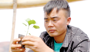 左杰悉心培育工業(yè)辣椒苗。