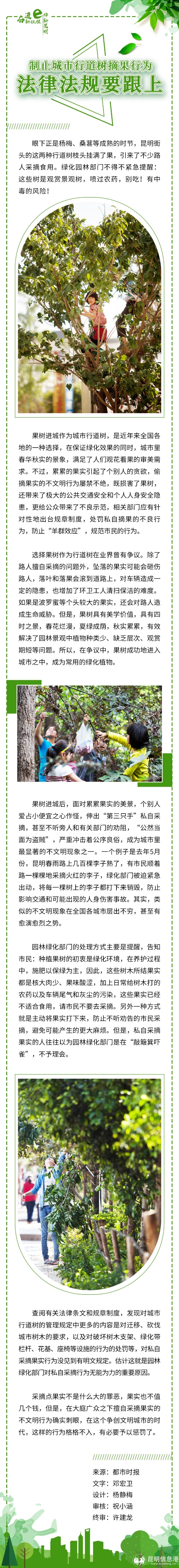 【海報】制止城市行道樹摘果行為 法律法規(guī)要跟上 【海報】制止城市行道樹摘果行為 法律法規(guī)要跟上