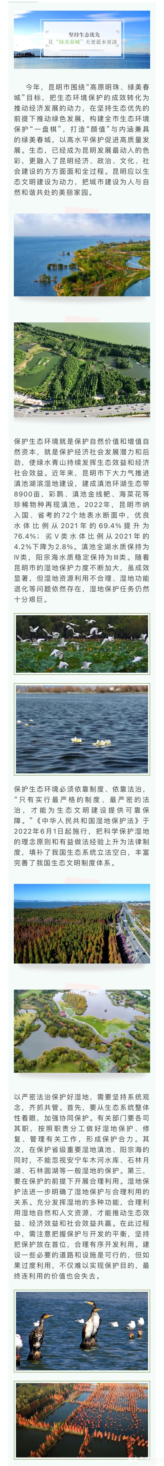 網(wǎng)評(píng) 網(wǎng)評(píng)