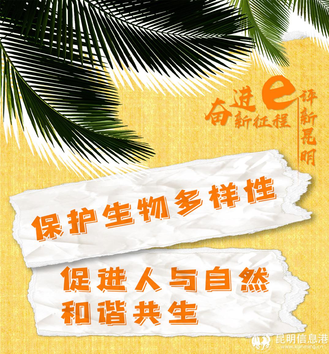 十二生肖20230519_01 十二生肖20230519_01