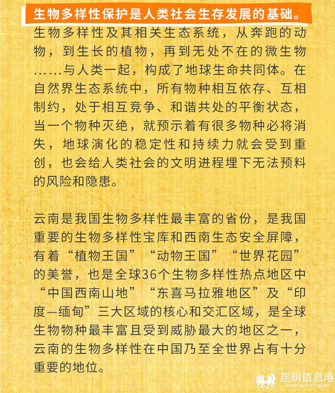 十二生肖20230519_02 十二生肖20230519_02