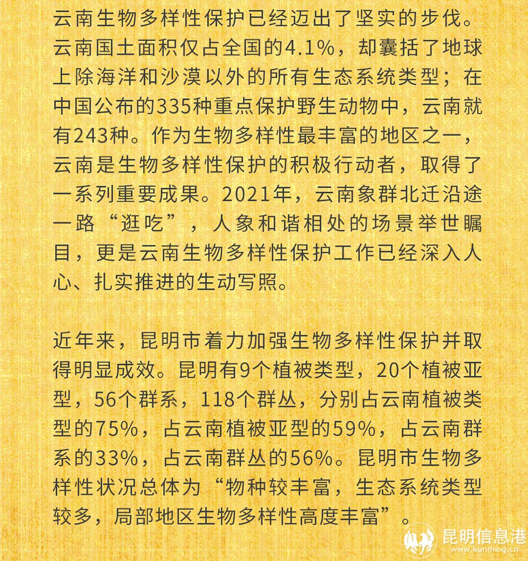 十二生肖20230519_03 十二生肖20230519_03