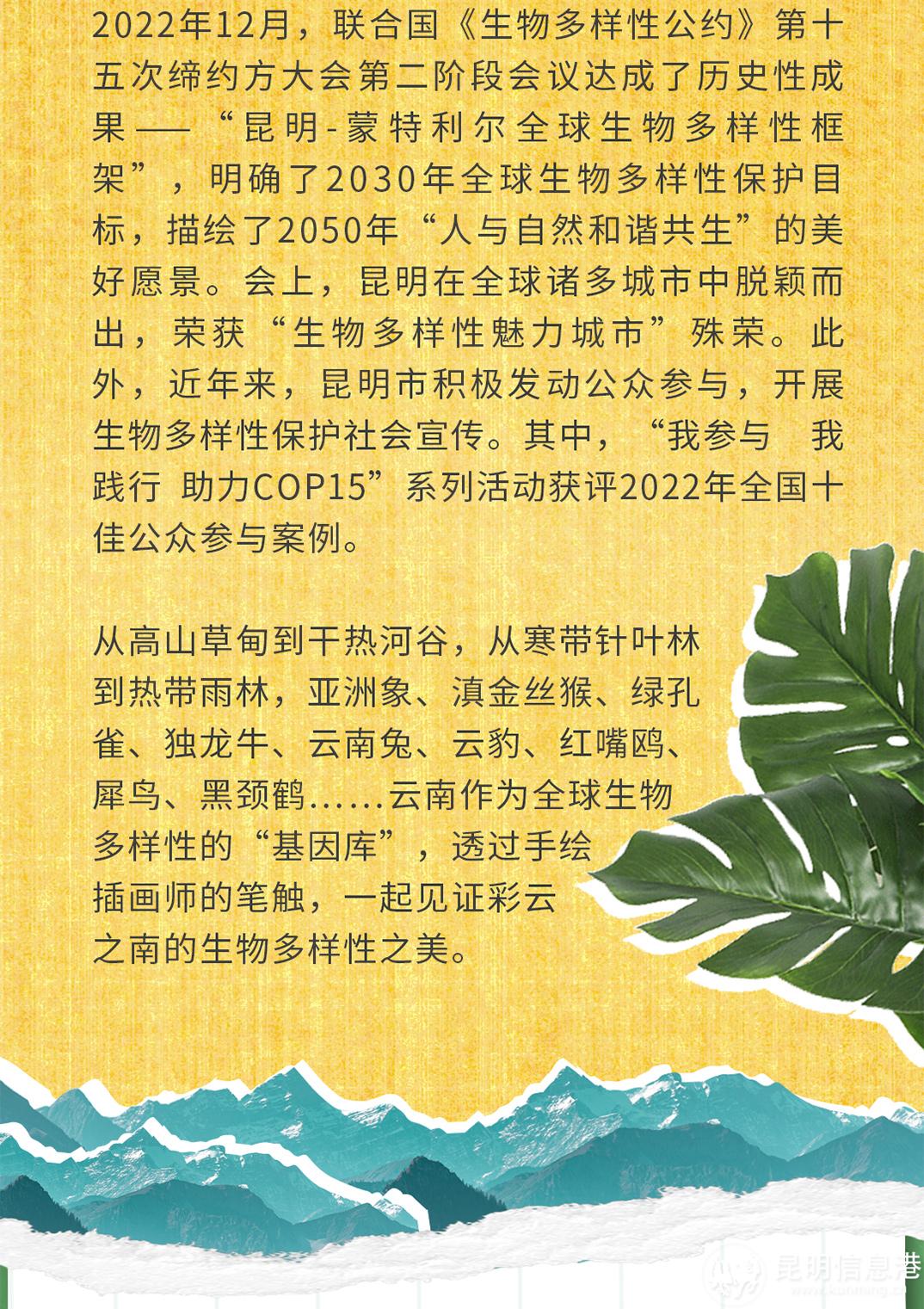 十二生肖20230519_04 十二生肖20230519_04