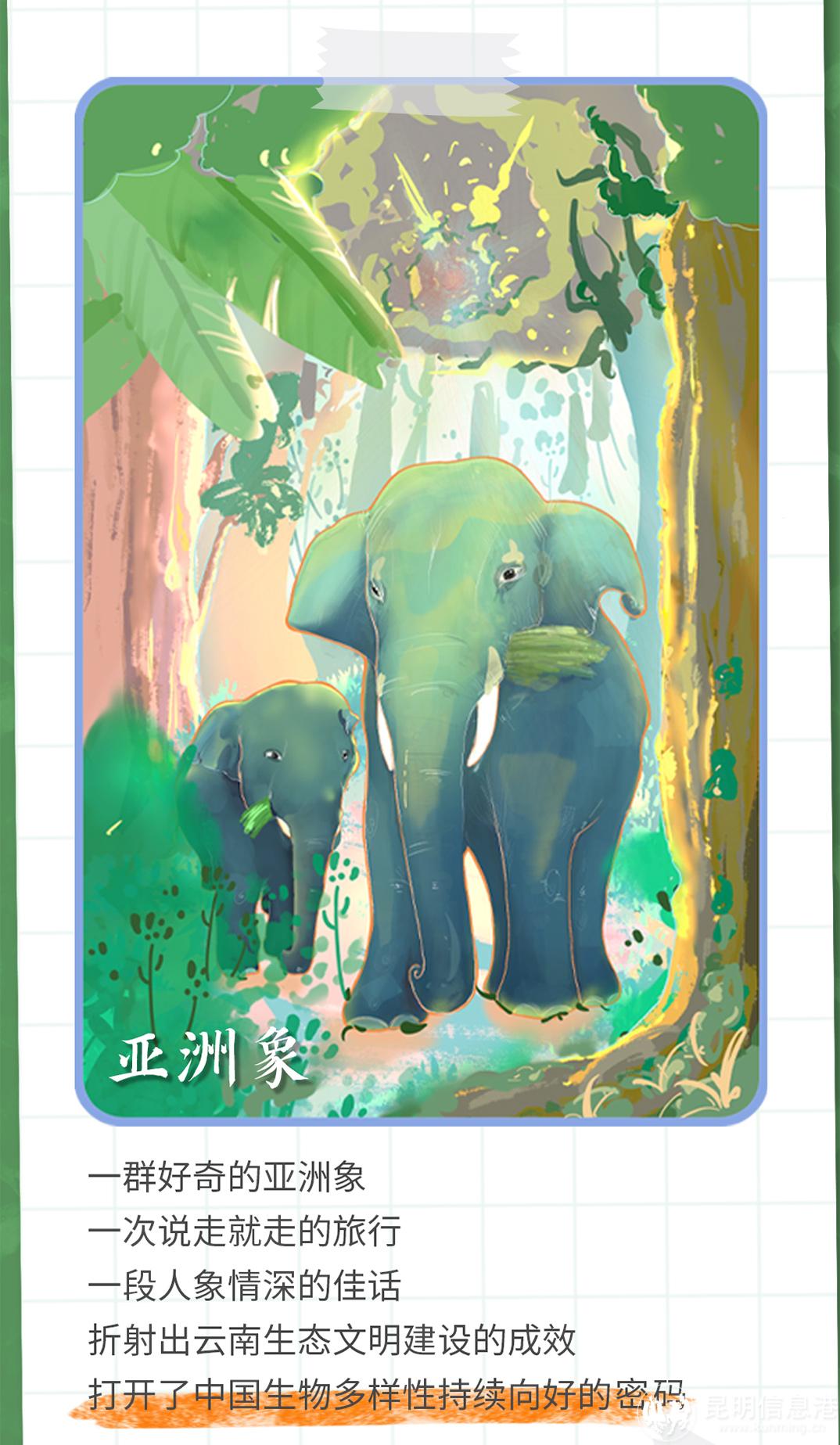 十二生肖20230519_05 十二生肖20230519_05