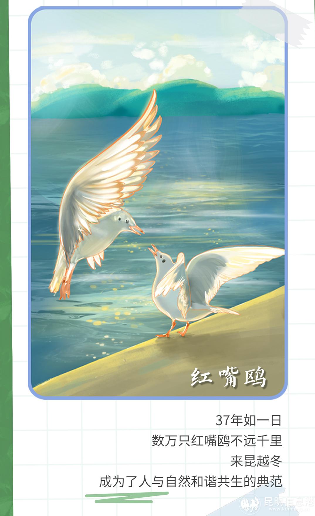 十二生肖20230519_06 十二生肖20230519_06