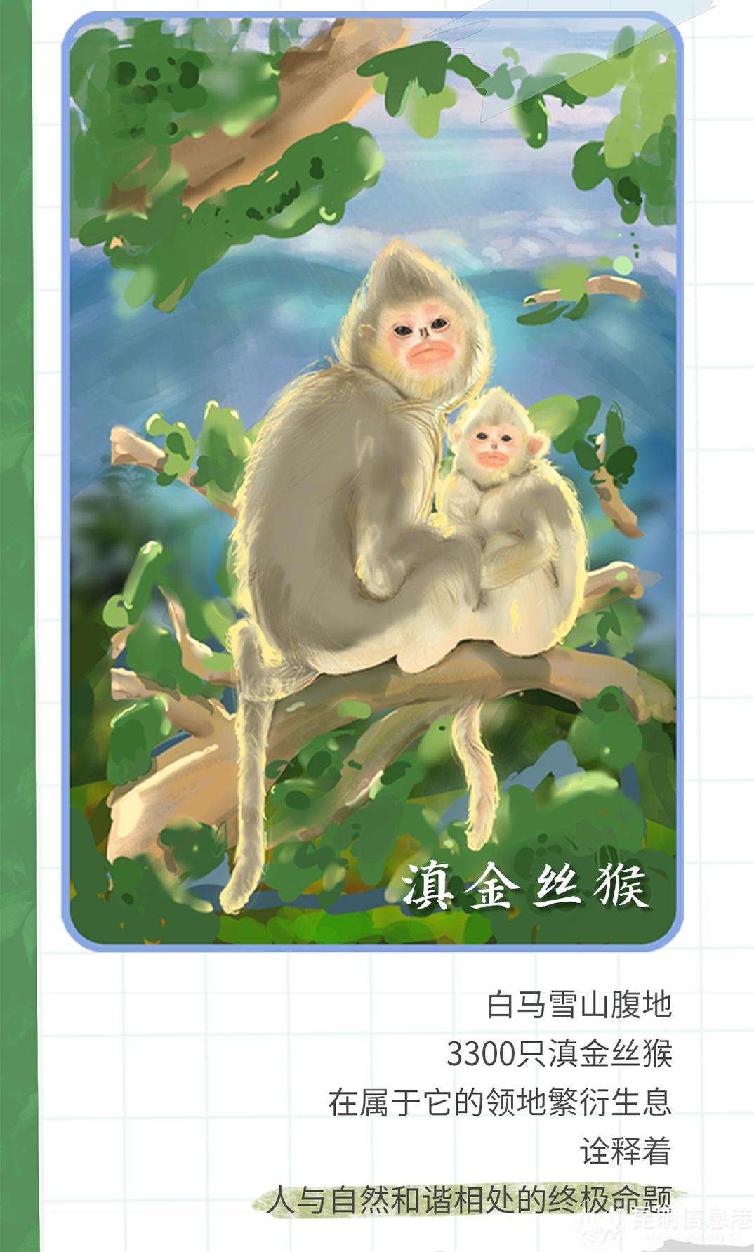 十二生肖20230519_07 十二生肖20230519_07