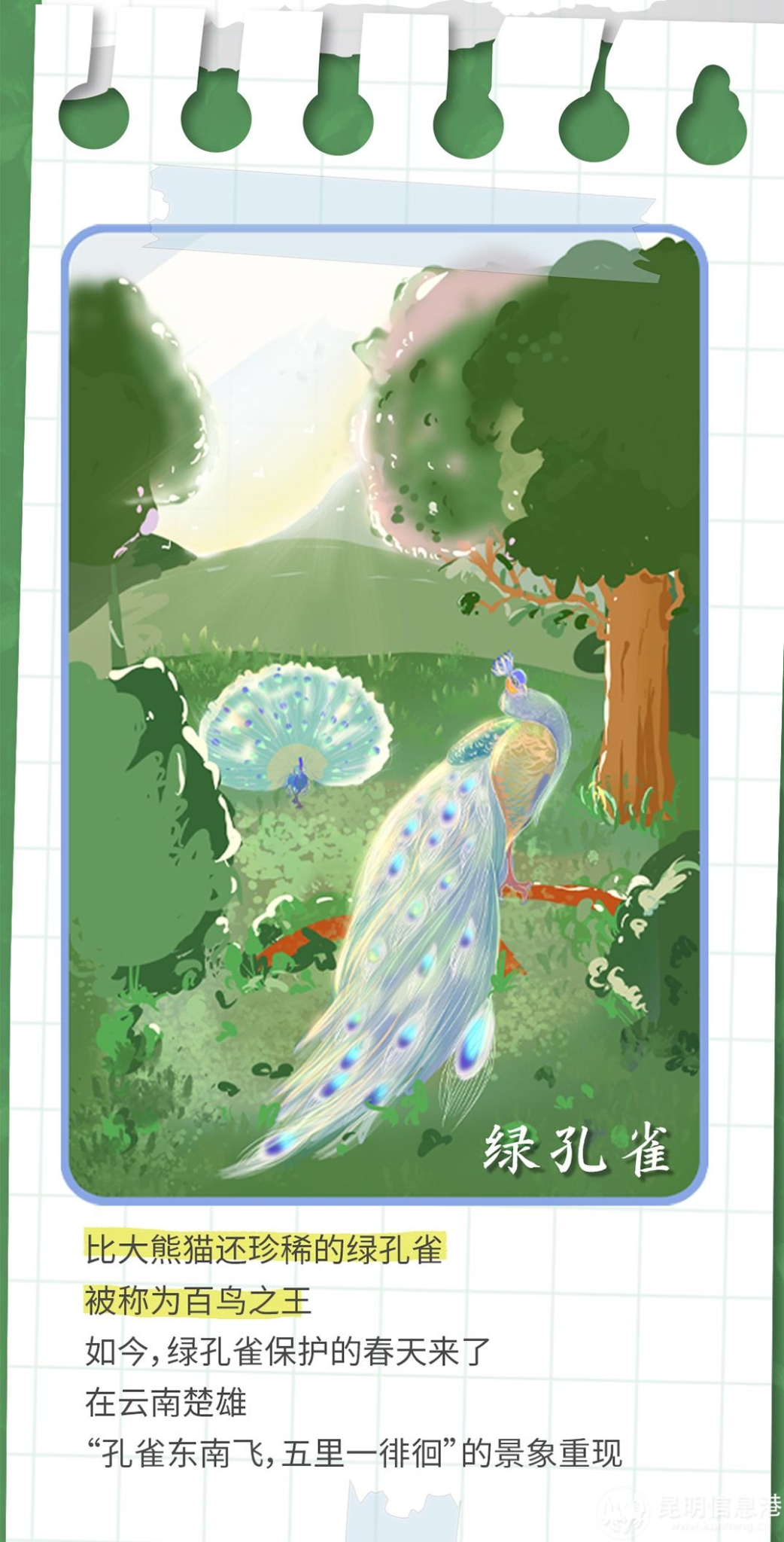 十二生肖20230519_08 十二生肖20230519_08