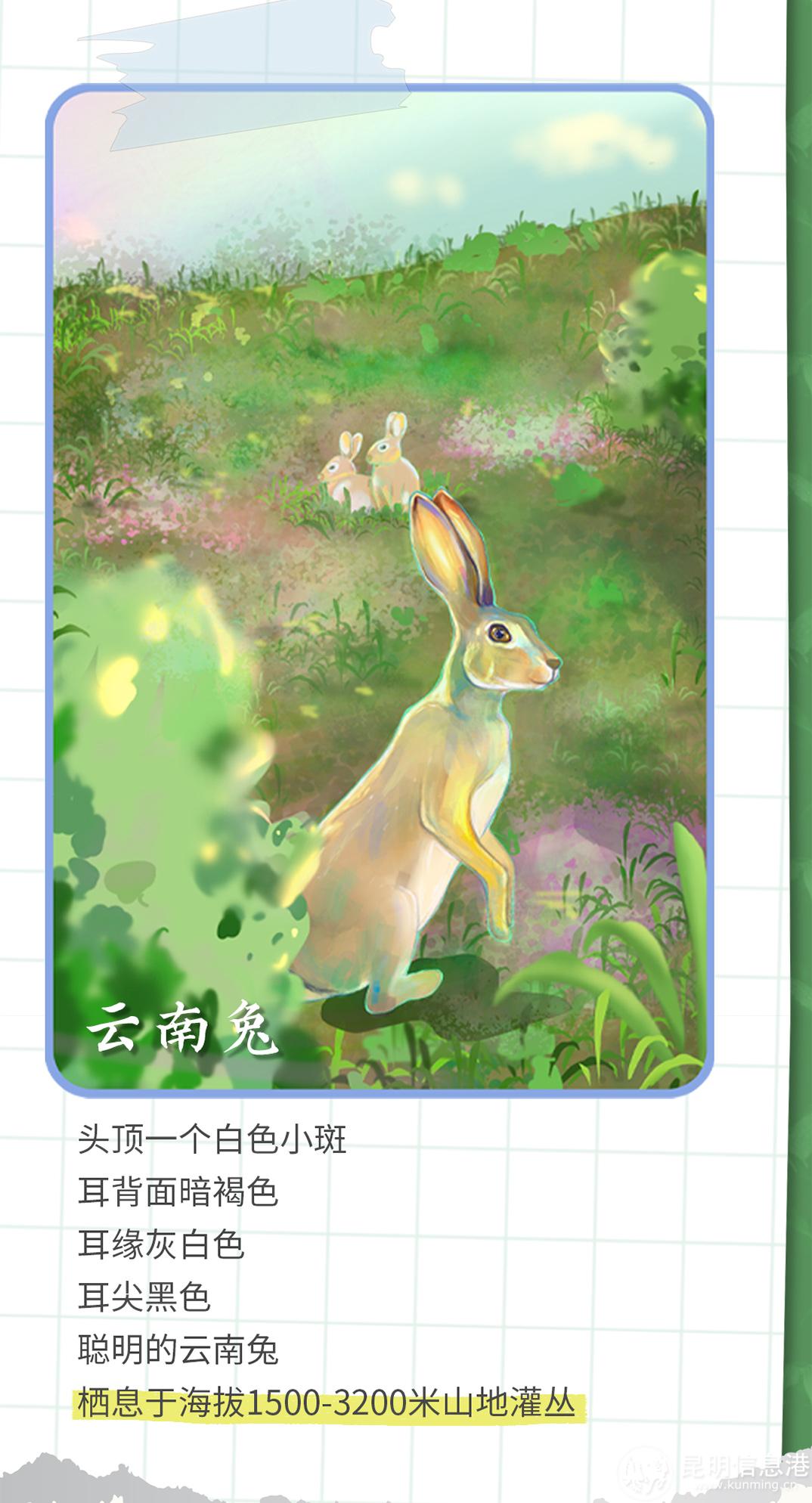 十二生肖20230519_10 十二生肖20230519_10