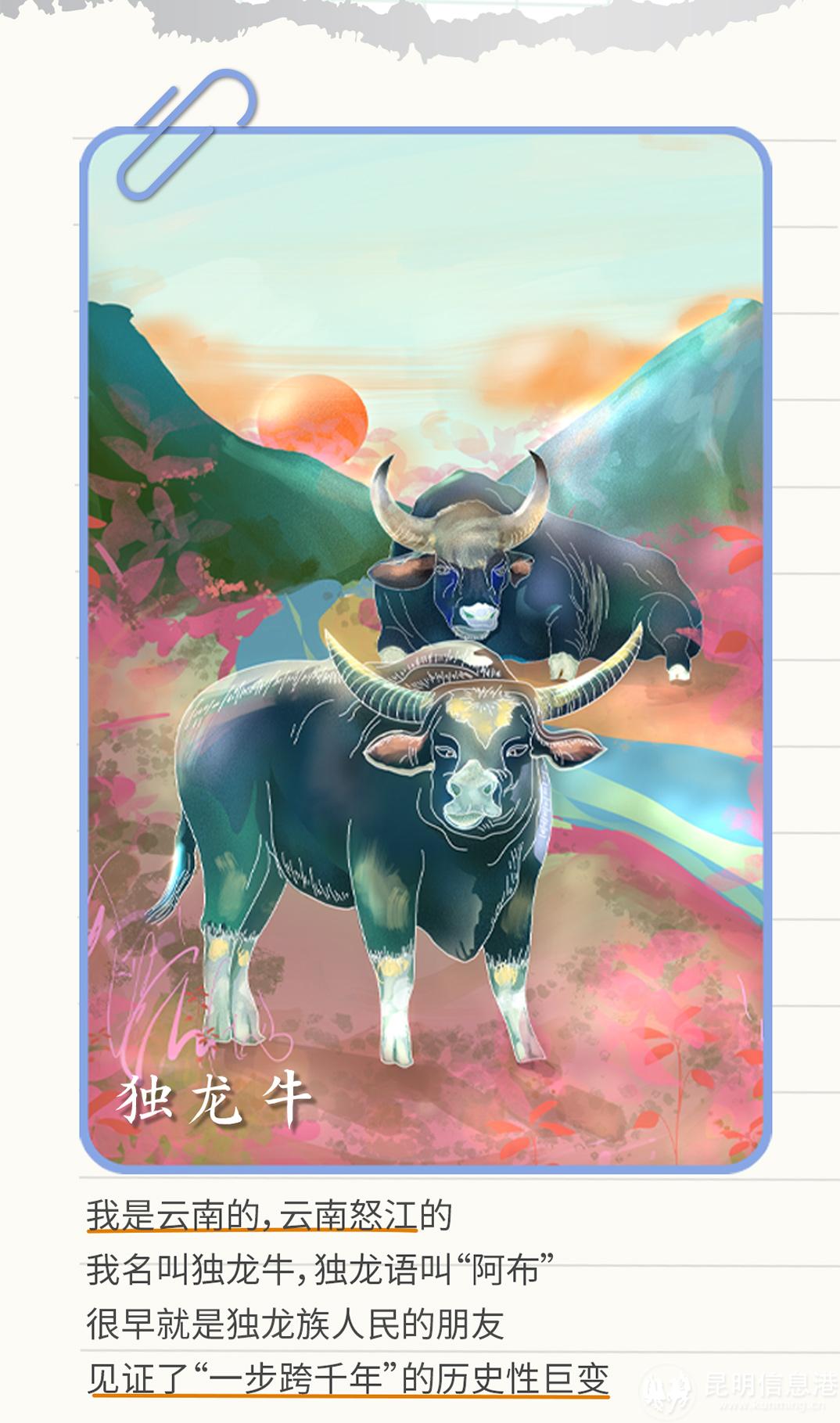 十二生肖20230519_11 十二生肖20230519_11