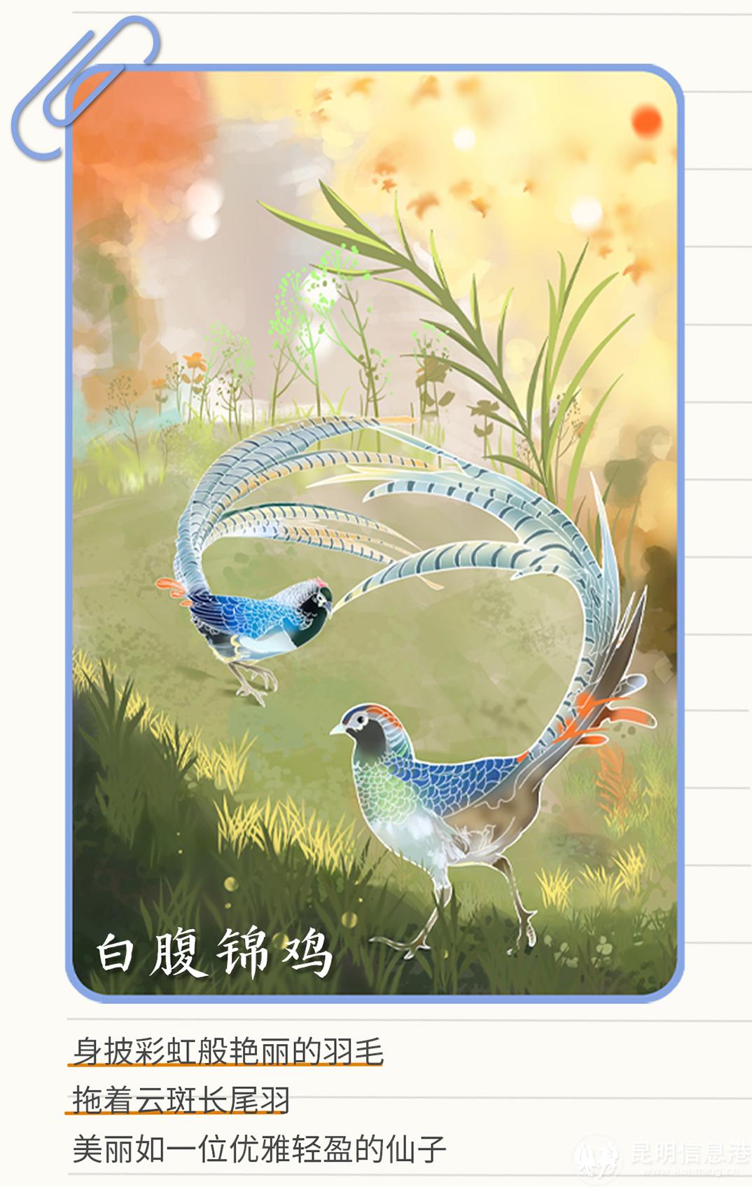 十二生肖20230519_12 十二生肖20230519_12