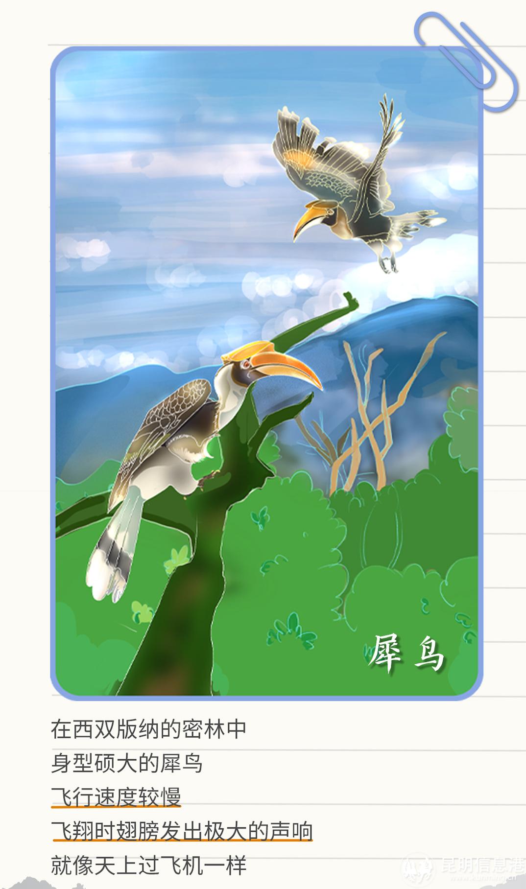 十二生肖20230519_13 十二生肖20230519_13