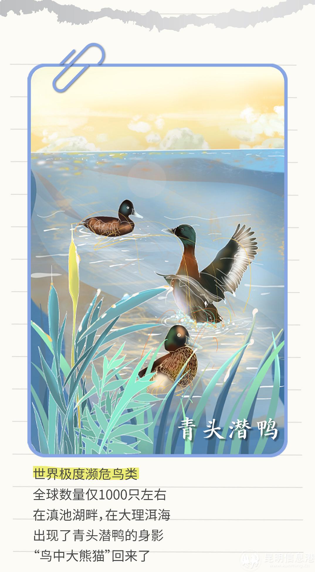 十二生肖20230519_14 十二生肖20230519_14