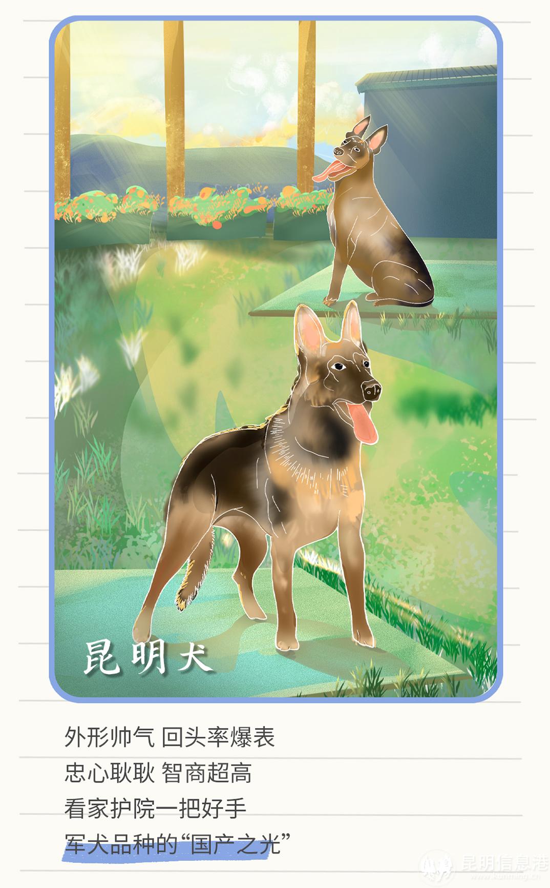 十二生肖20230519_15 十二生肖20230519_15