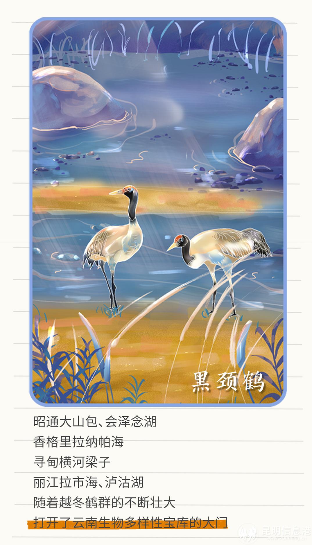 十二生肖20230519_16 十二生肖20230519_16