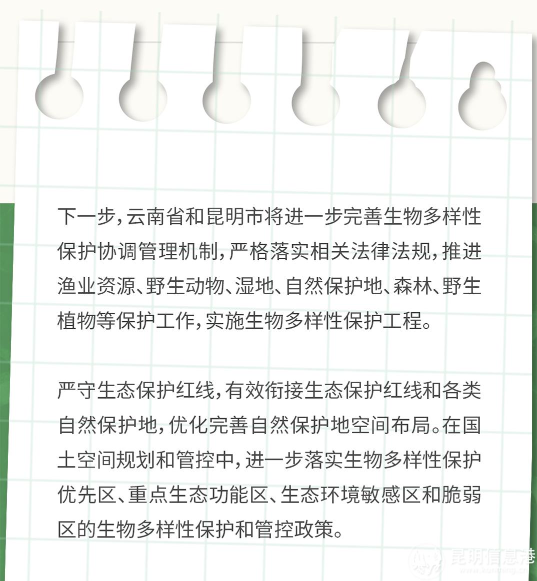 十二生肖20230519_17 十二生肖20230519_17