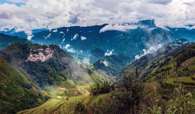 云霧蒸騰的哀牢山